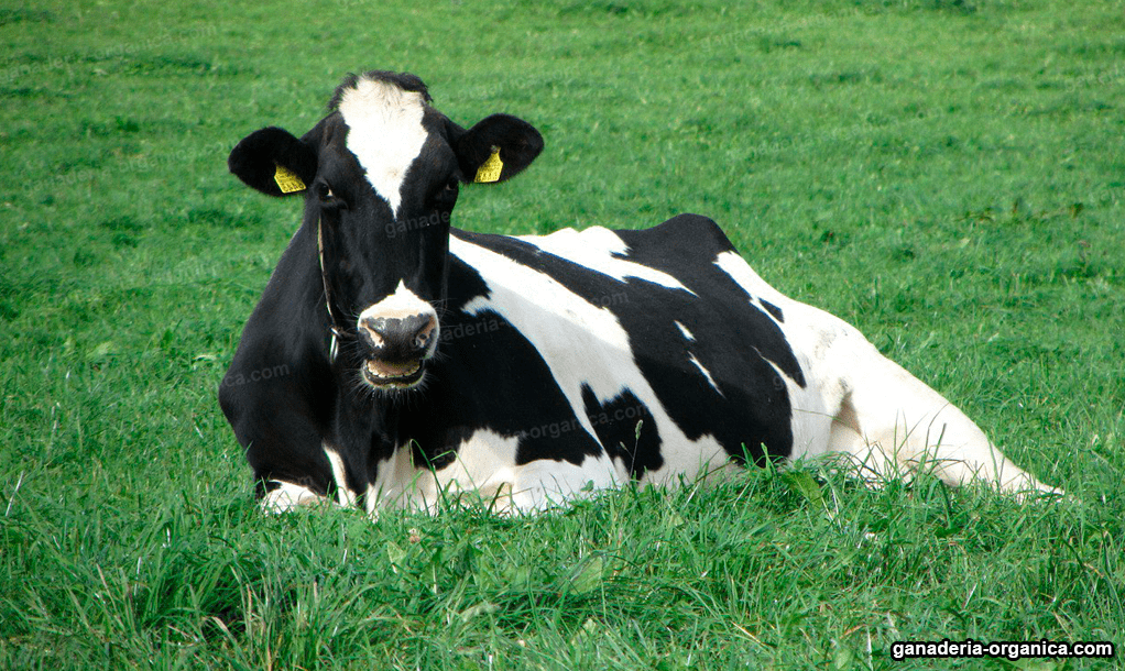 protección contra rayos UV